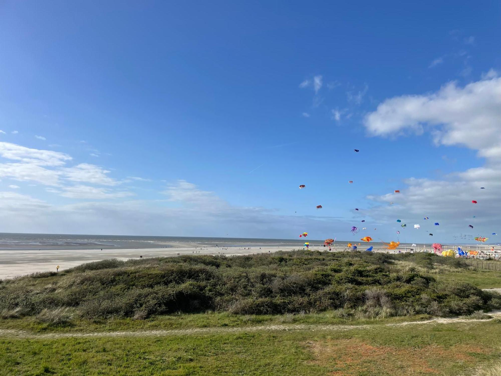 Face Mer Pieds Dans L'Eau Duplex 4 Chambres 155 M2 8-12 Personnes Berck Eksteriør billede