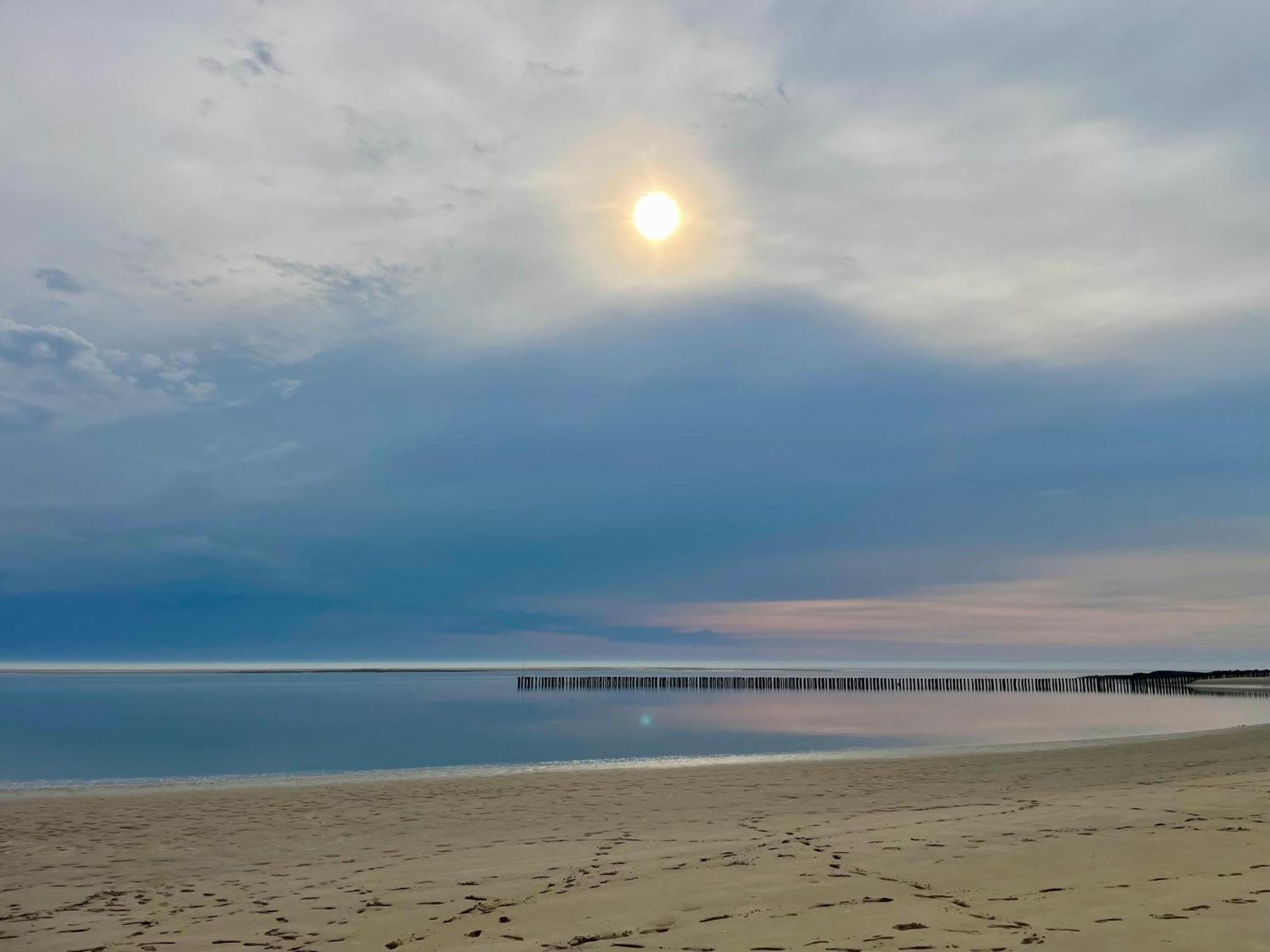 Face Mer Pieds Dans L'Eau Duplex 4 Chambres 155 M2 8-12 Personnes Berck Eksteriør billede